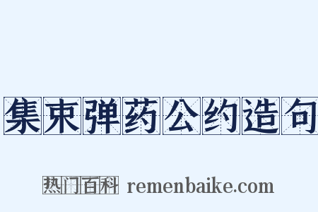 集束弹药公约造句是什么意思的图片